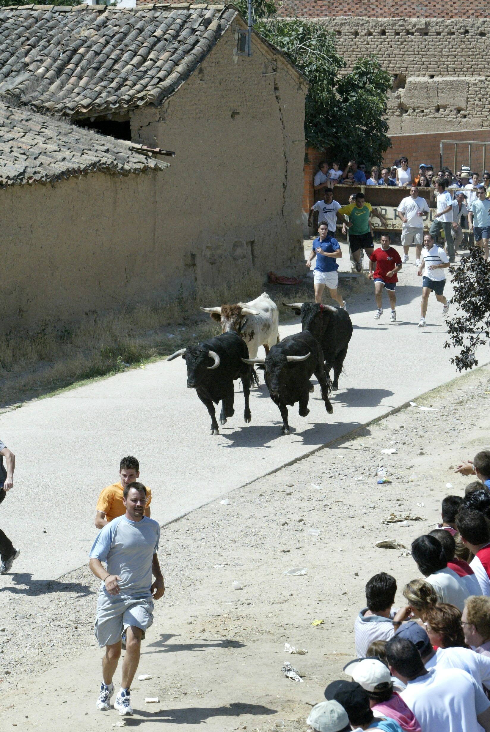 Encierro por las calles del municipio en las fiestas de 2005.