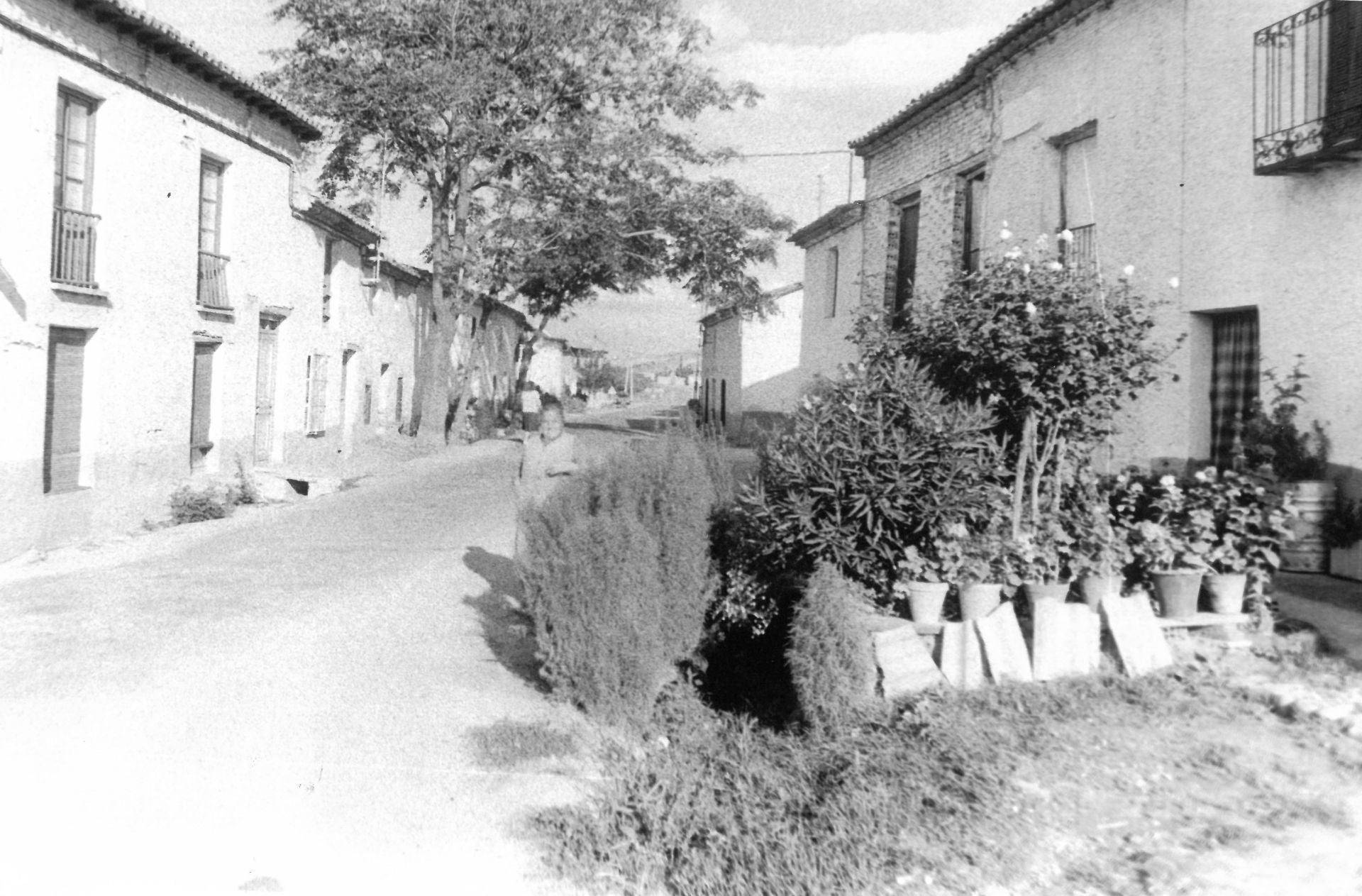 Pie original: «Pollos, un pueblo que se preocupa de adornar y embellecer sus plazas y calles». Octubre de 1981.