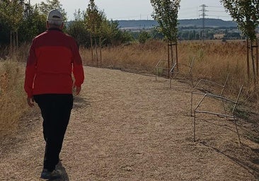 El Ayuntamiento colocará dispositivos GPS en mobiliario urbano y animales para evitar sus robos