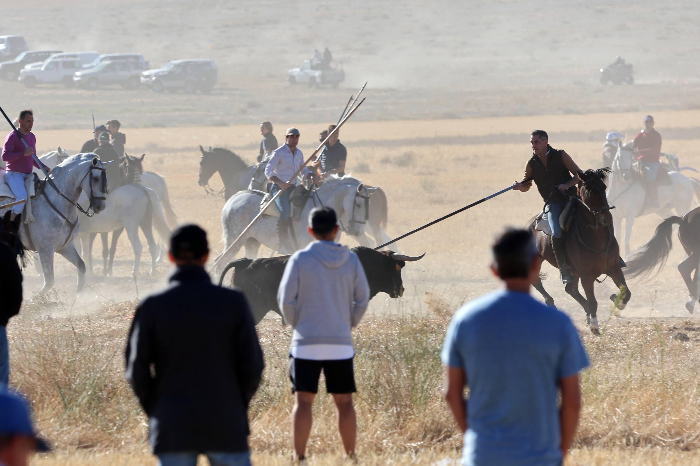 El encierro de este domingo en Mojados, en imágenes