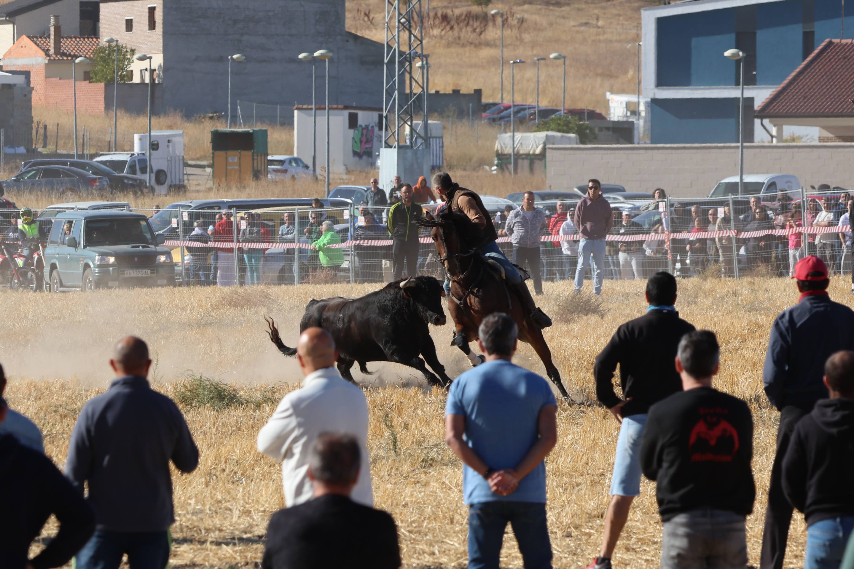 El encierro de este domingo en Mojados, en imágenes