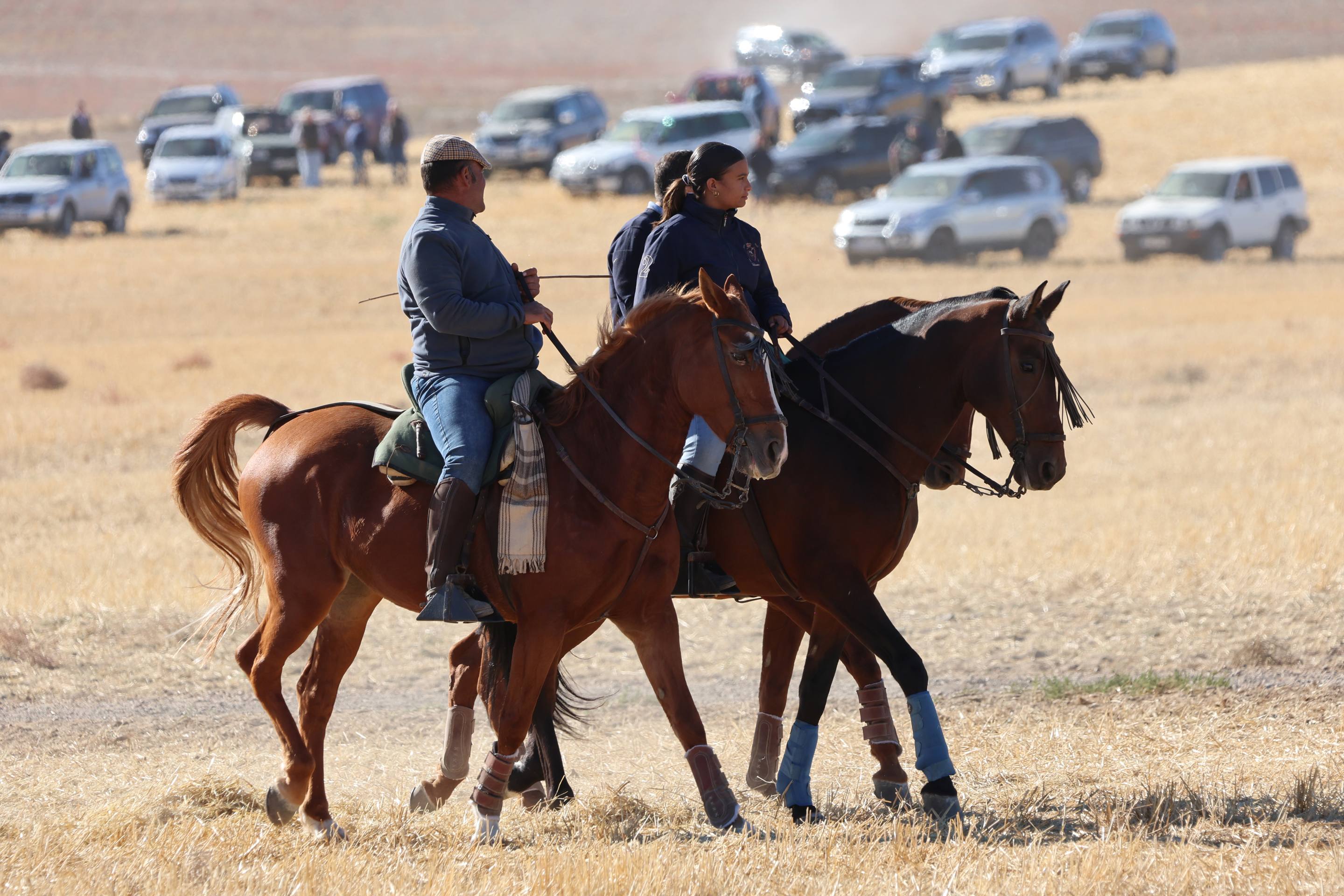 El encierro de este domingo en Mojados, en imágenes