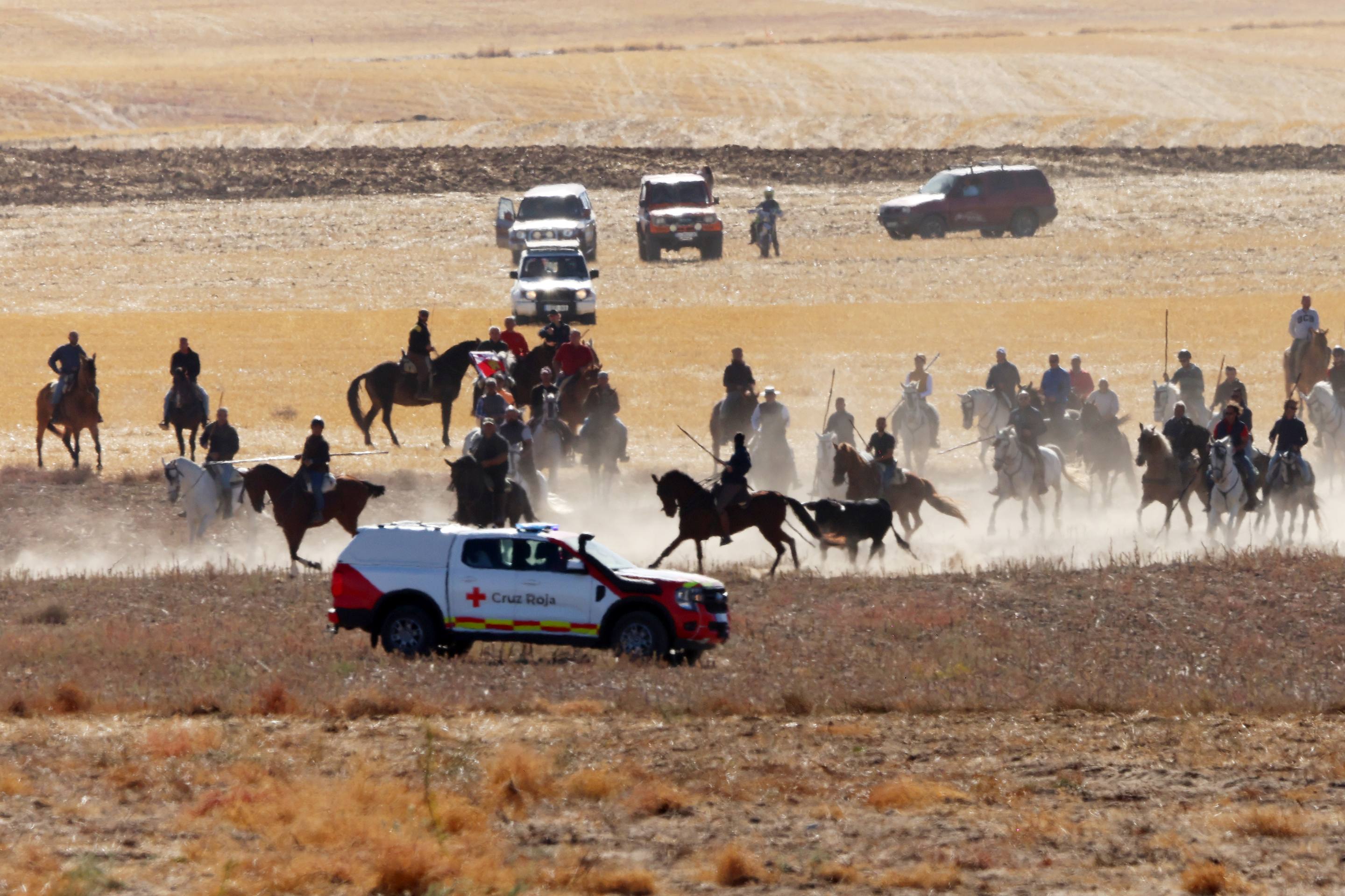 El encierro de este domingo en Mojados, en imágenes