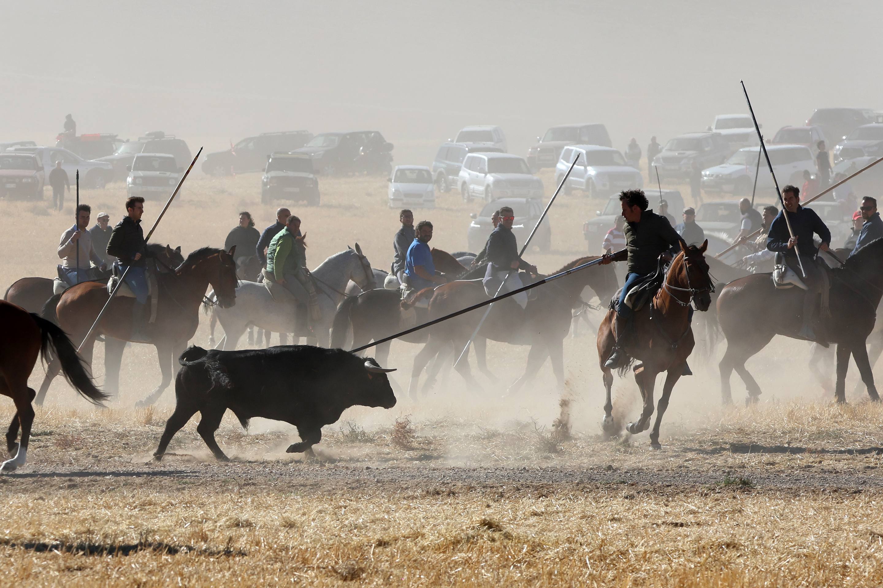 El encierro de este domingo en Mojados, en imágenes