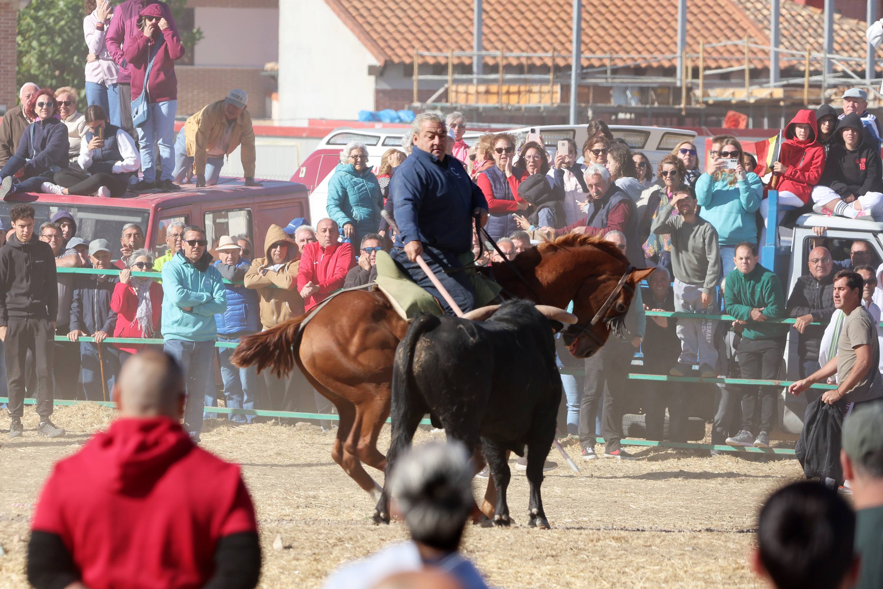 El encierro de este domingo en Mojados, en imágenes
