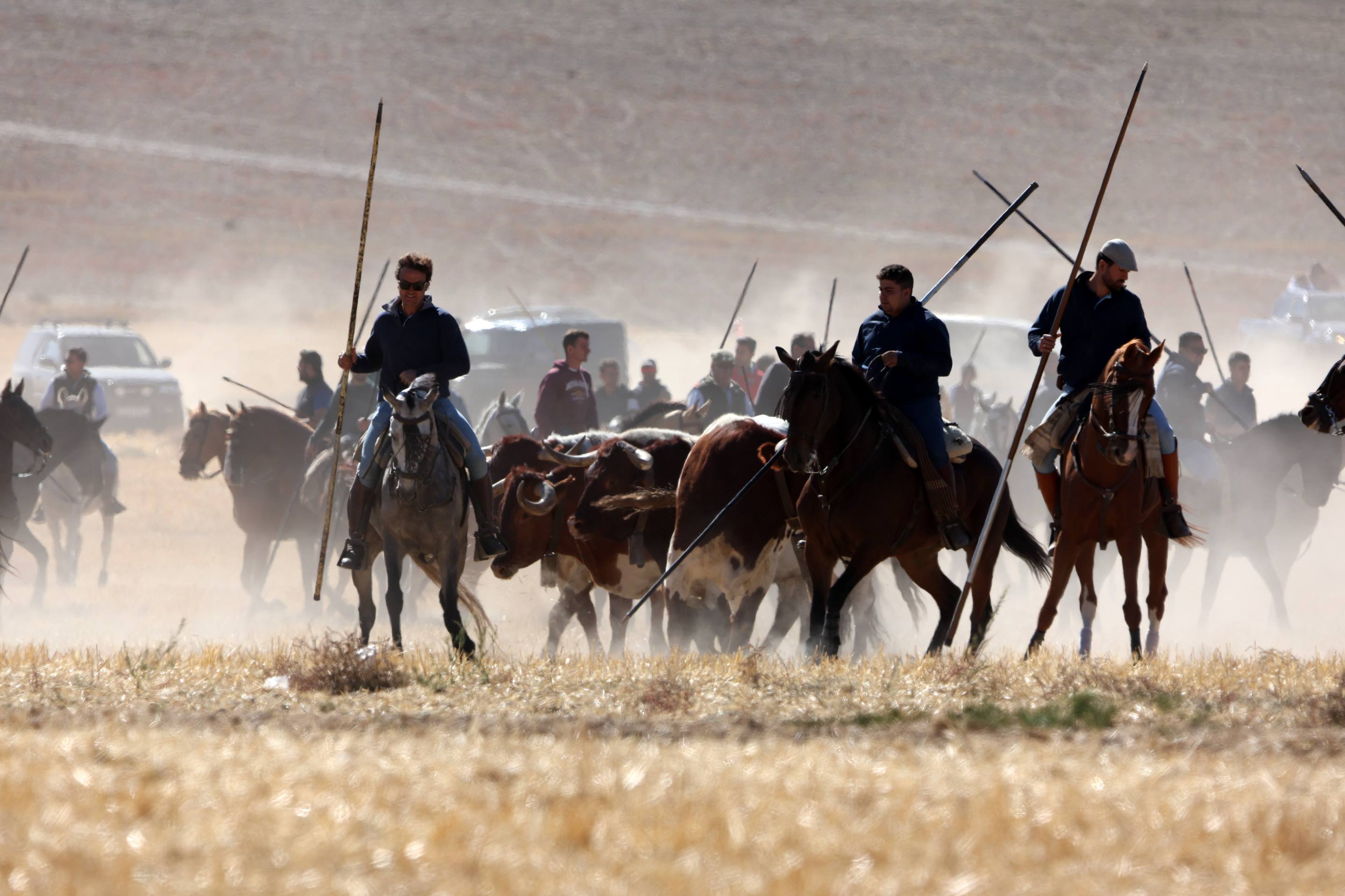 El encierro de este domingo en Mojados, en imágenes