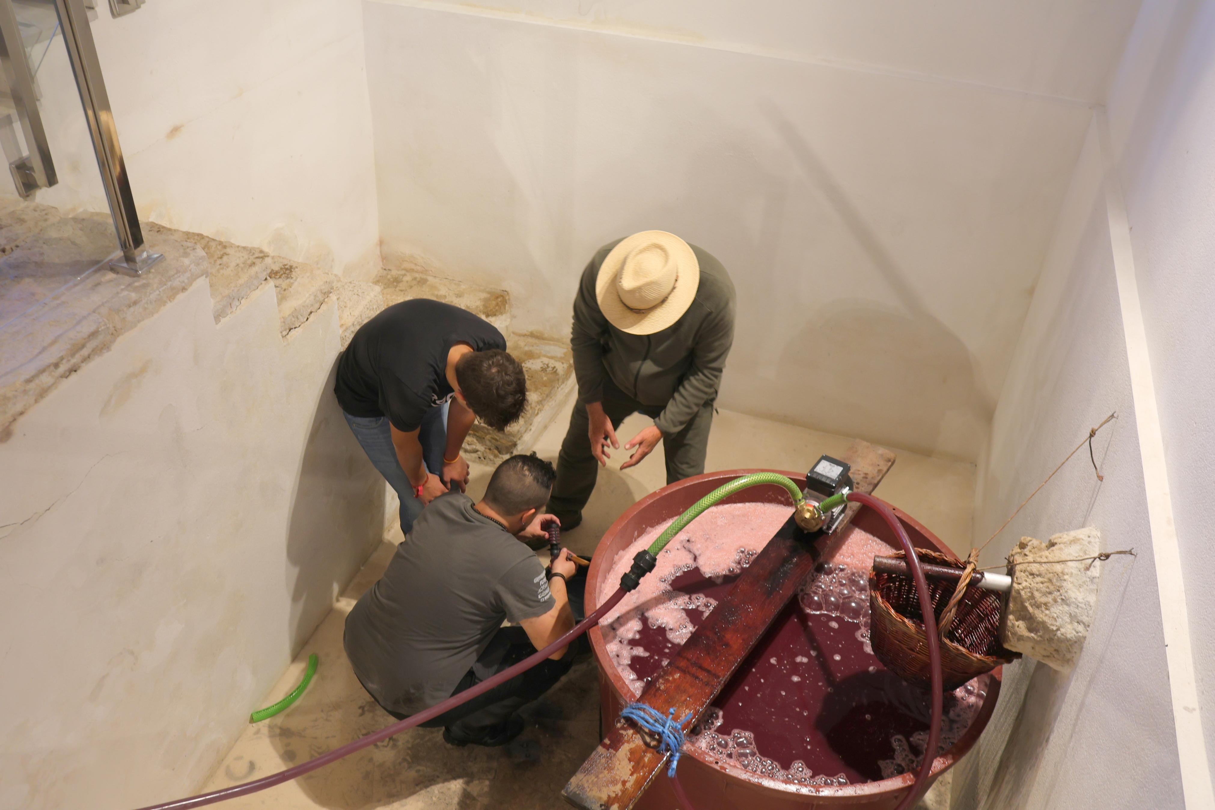 V Jornada &#039;De Lagares&#039; en Baltanás