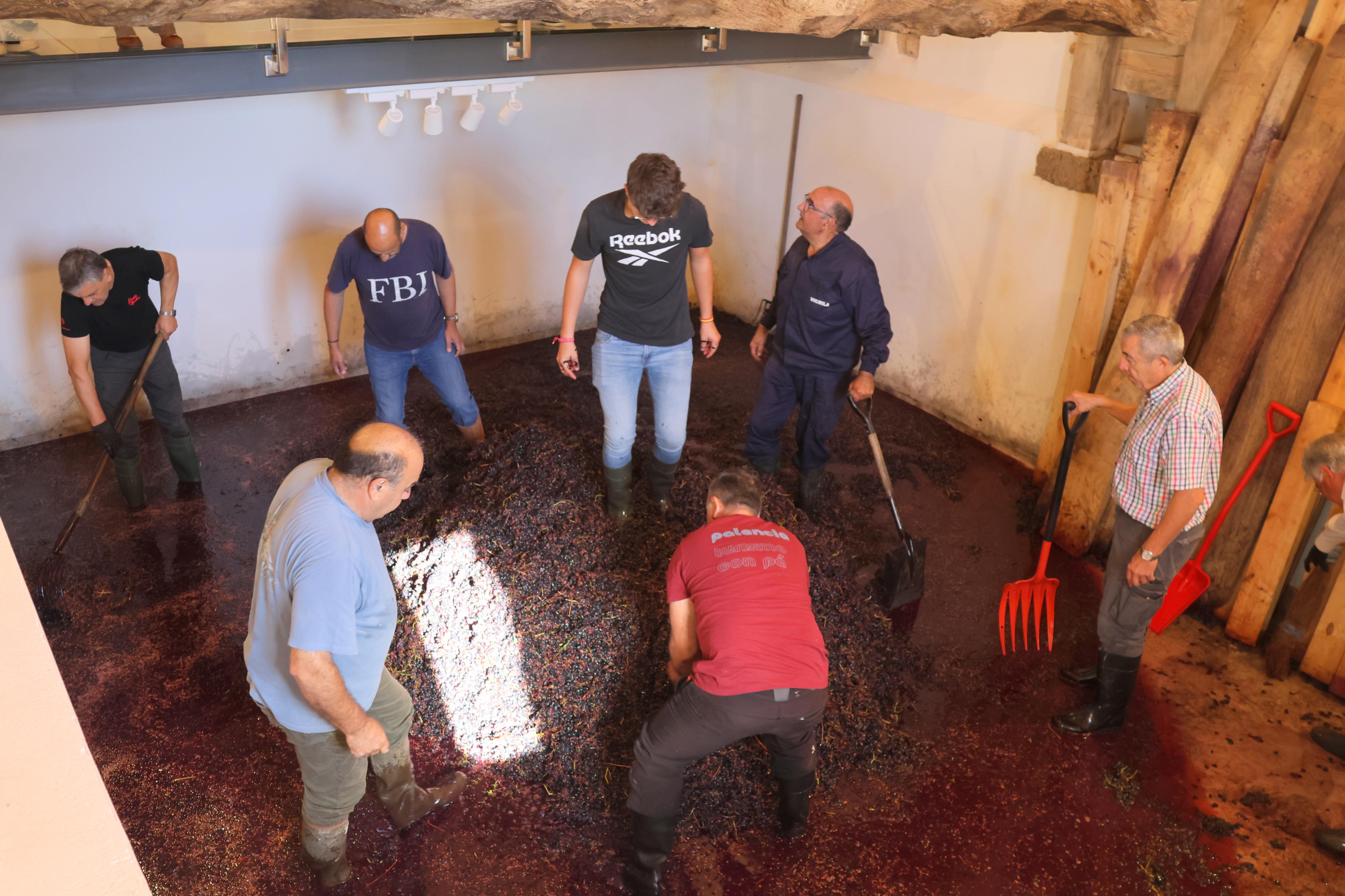 V Jornada &#039;De Lagares&#039; en Baltanás