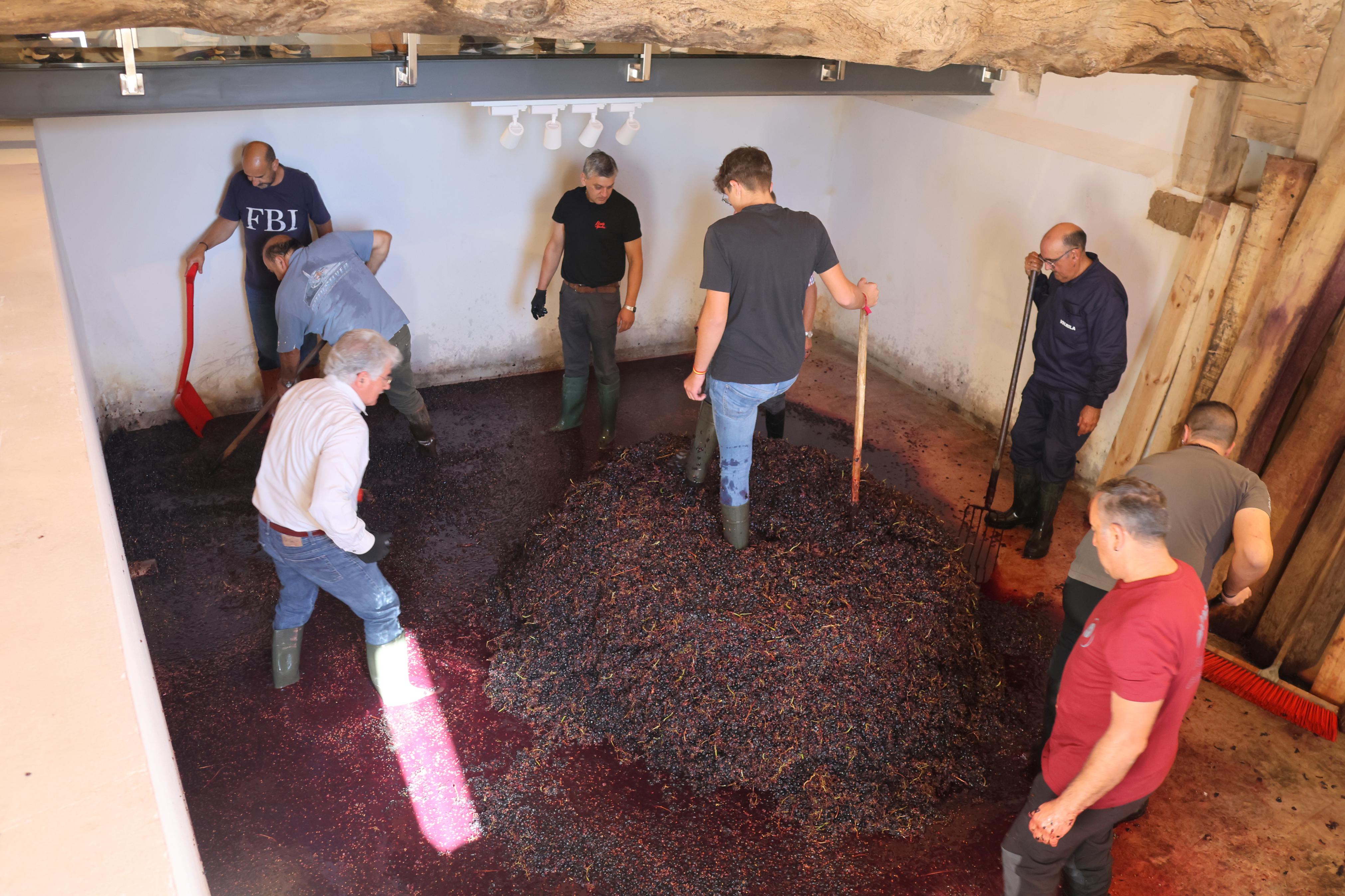 V Jornada &#039;De Lagares&#039; en Baltanás