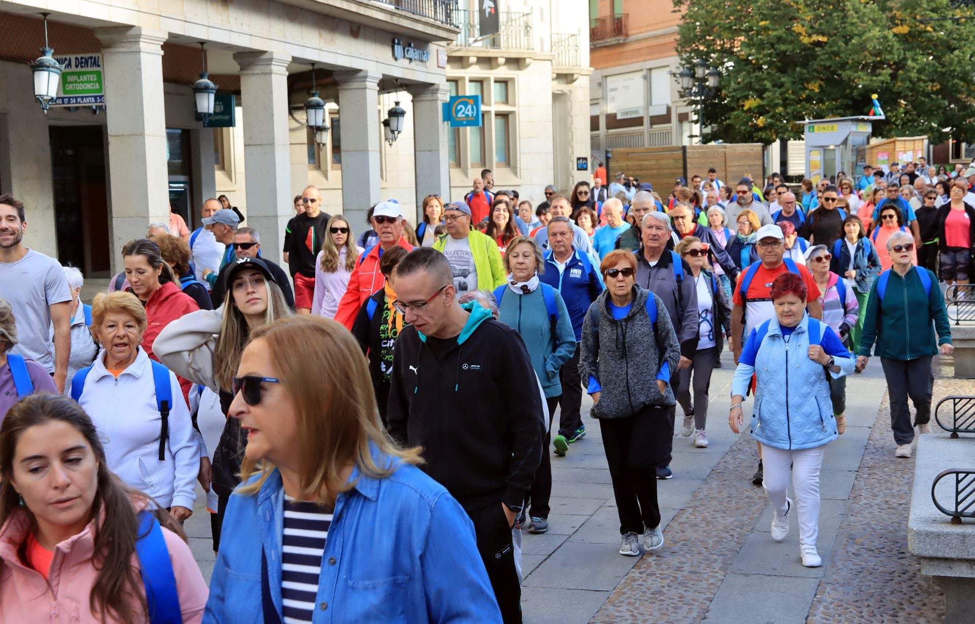 La marcha Apadefim en Segovia, en imágenes