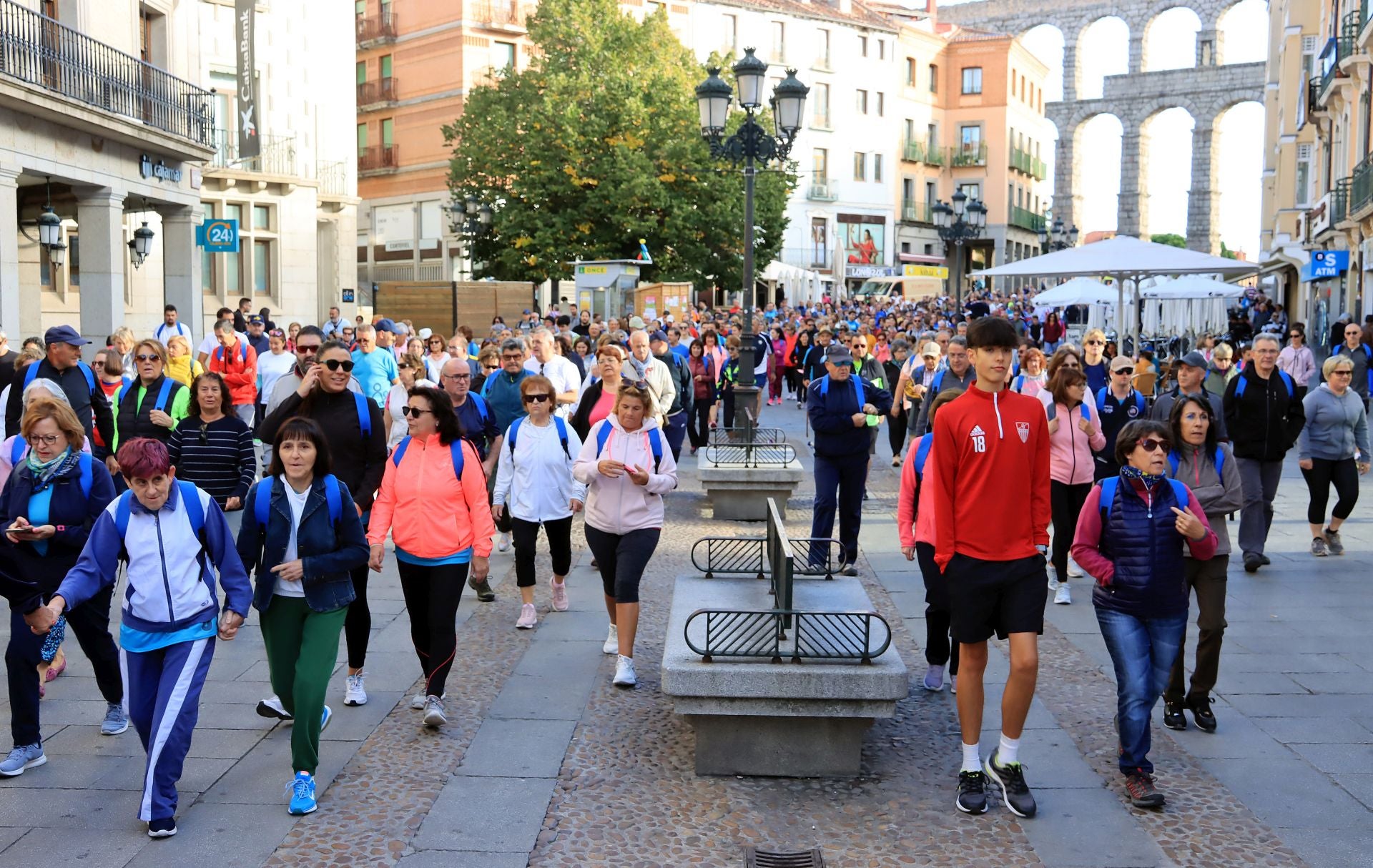 La marcha Apadefim en Segovia, en imágenes