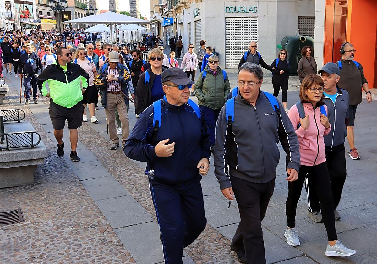 La marcha Apadefim en Segovia, en imágenes