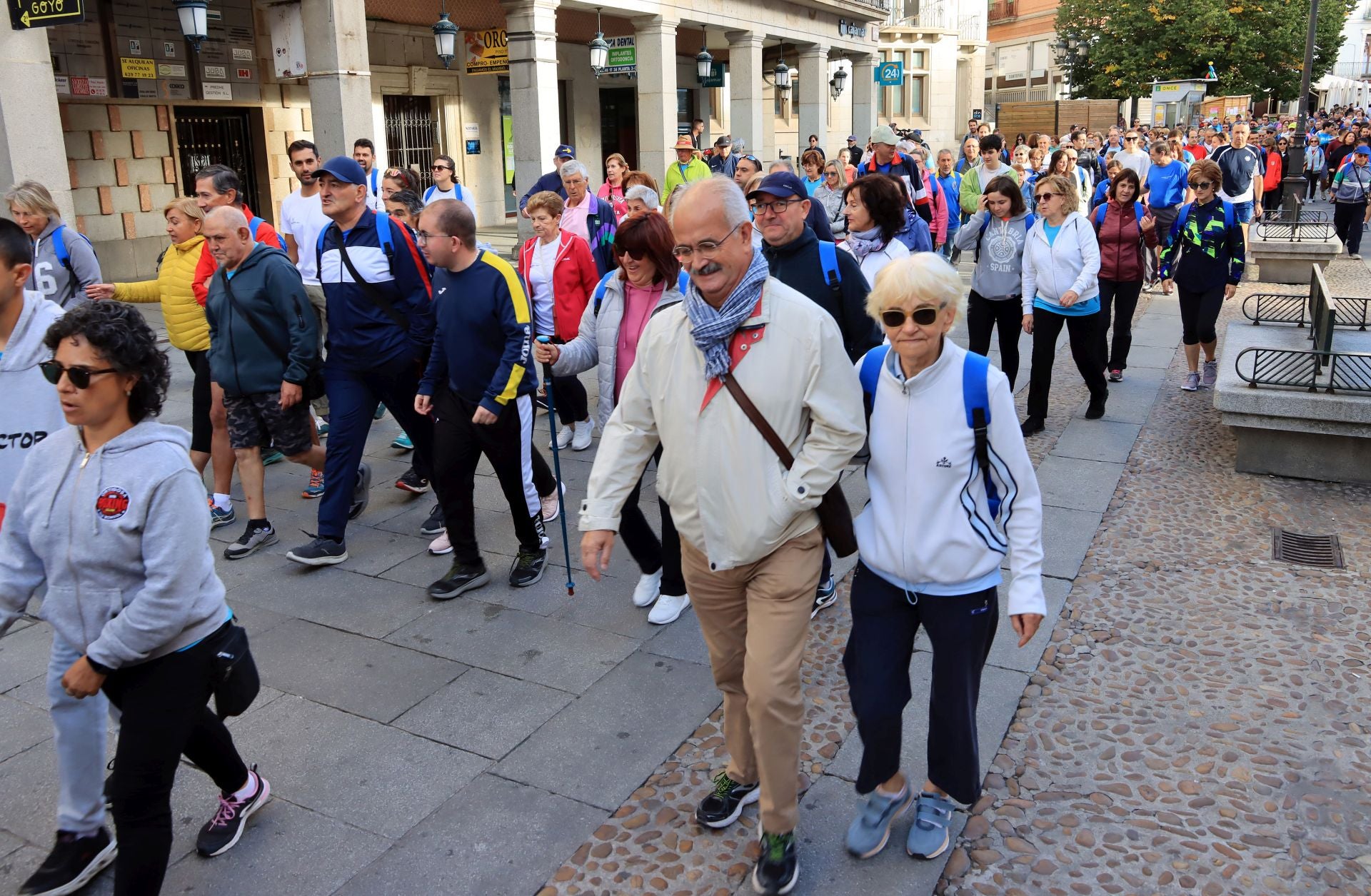 La marcha Apadefim en Segovia, en imágenes