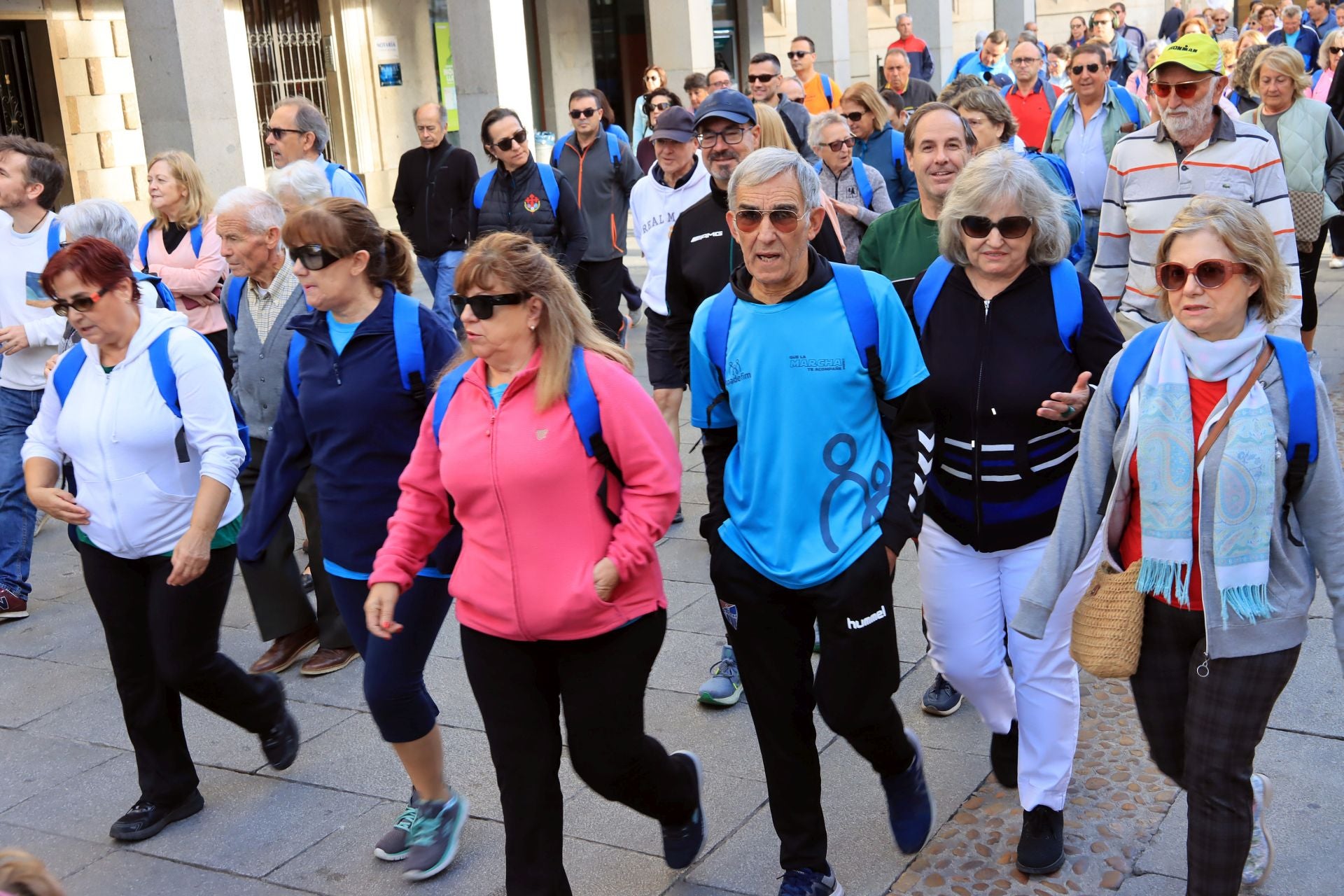 La marcha Apadefim en Segovia, en imágenes