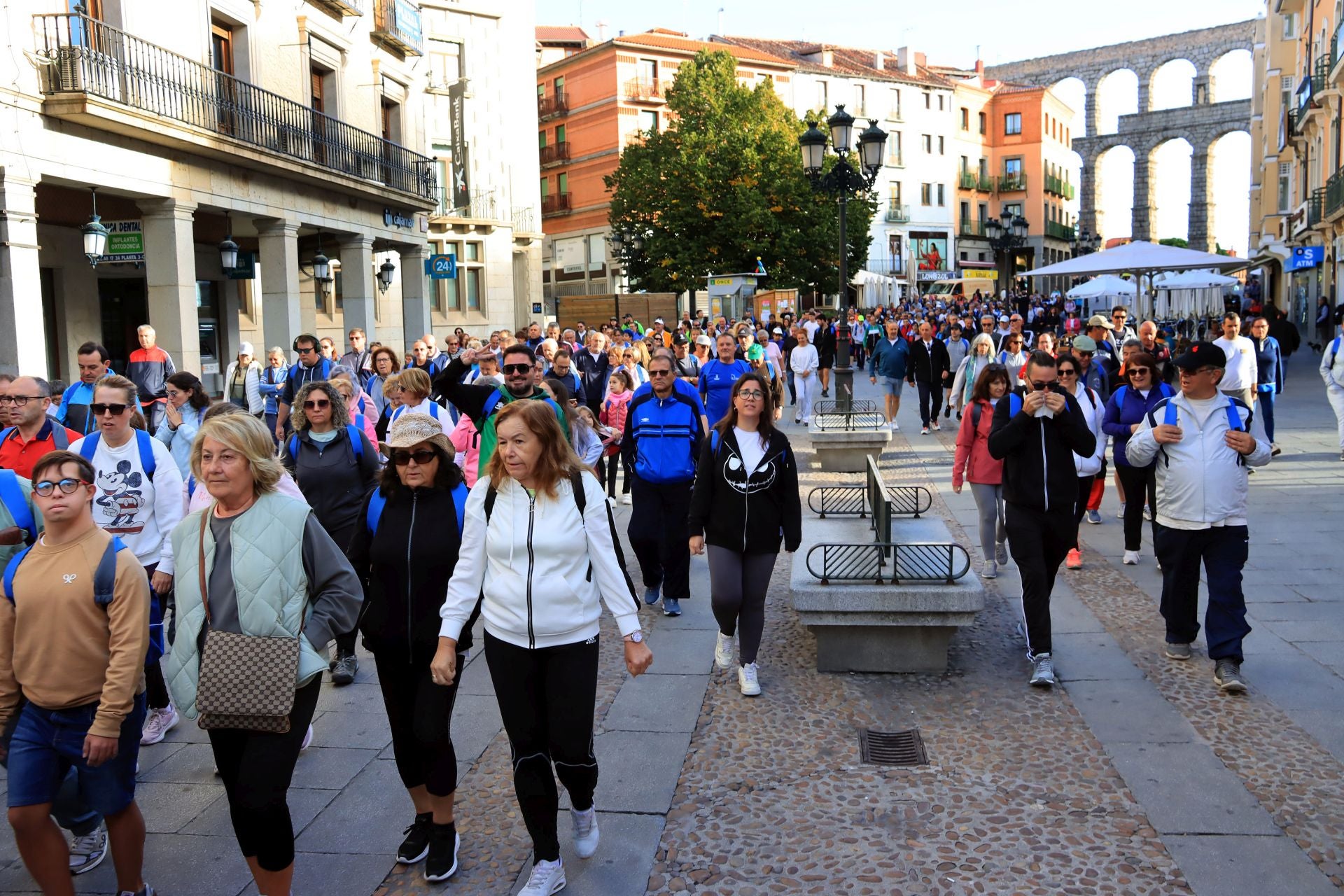 La marcha Apadefim en Segovia, en imágenes