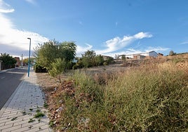 La parcela en Las Flores que ha pasado a ser propiedad del Ayuntamiento.