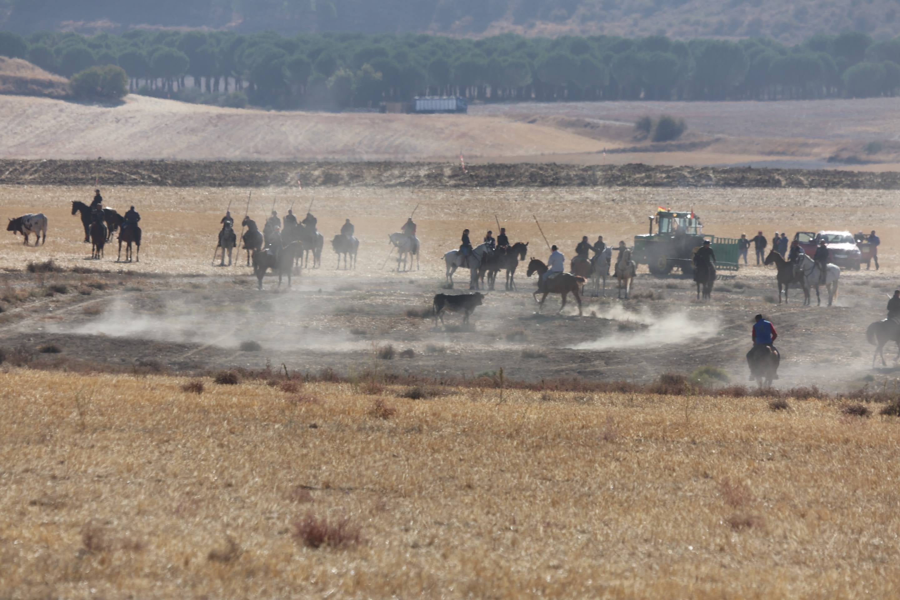 El último encierro mixto de las fiestas de Mojados 2025, en imágenes