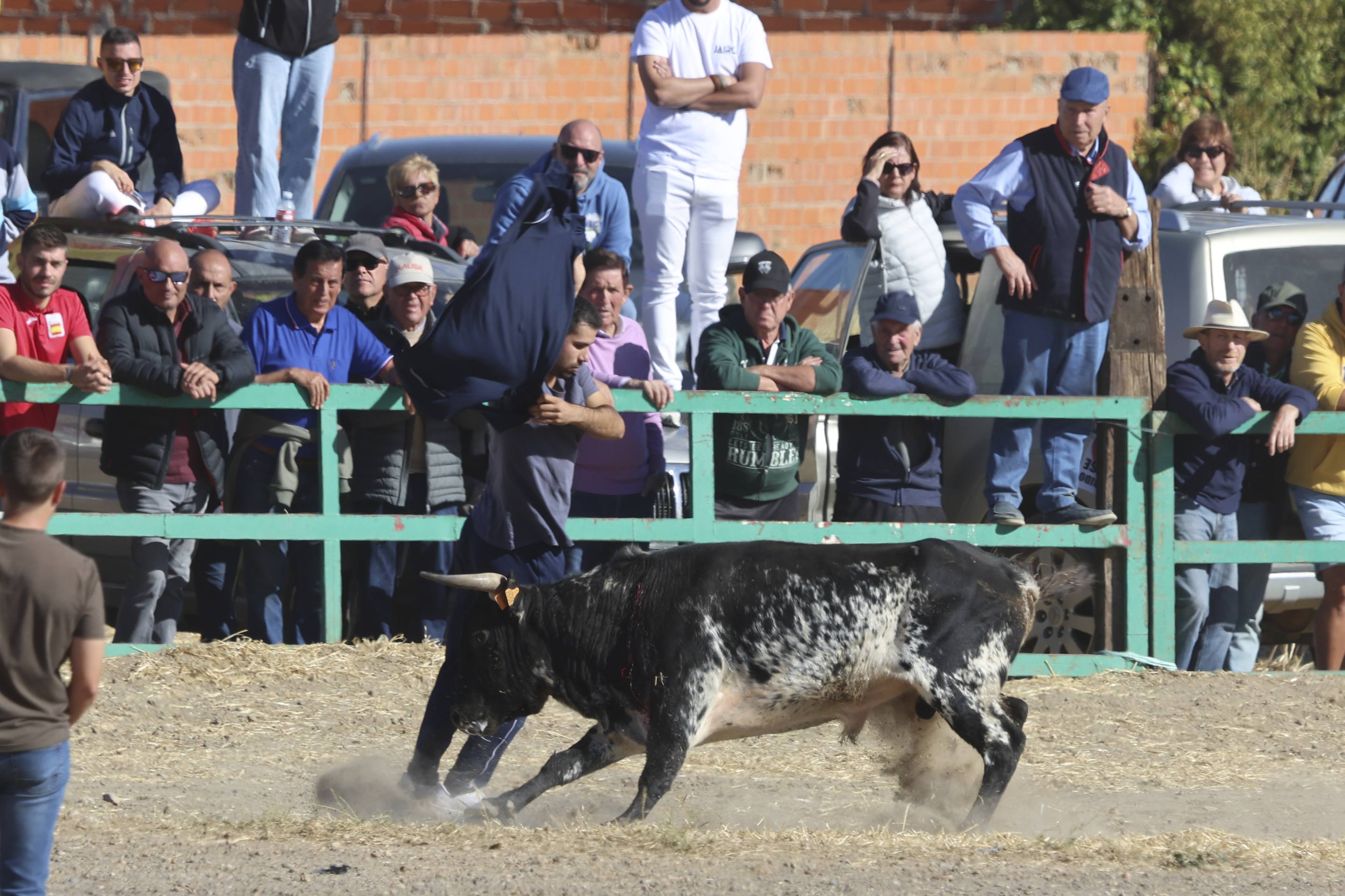 El último encierro mixto de las fiestas de Mojados 2025, en imágenes