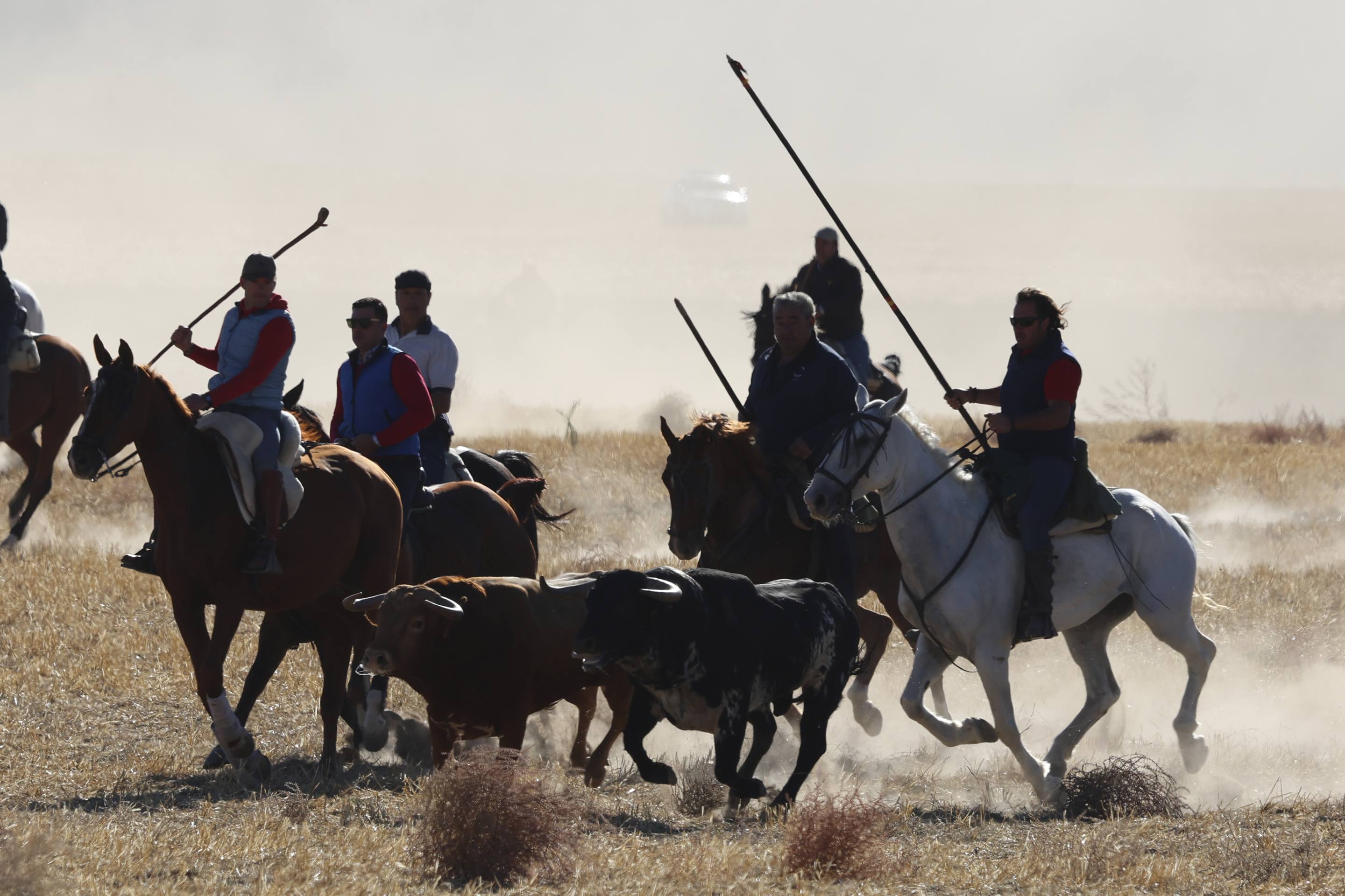 El último encierro mixto de las fiestas de Mojados 2025, en imágenes