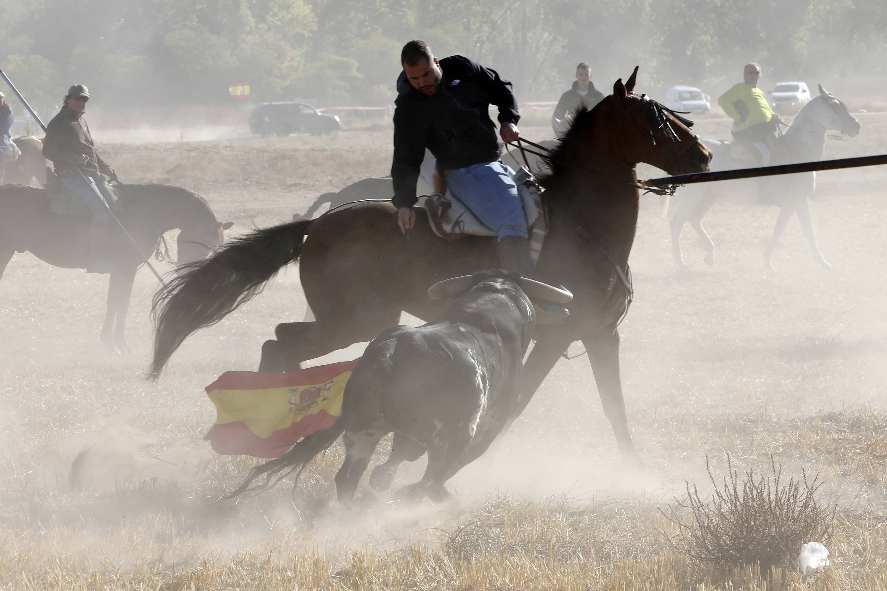 El último encierro mixto de las fiestas de Mojados 2025, en imágenes