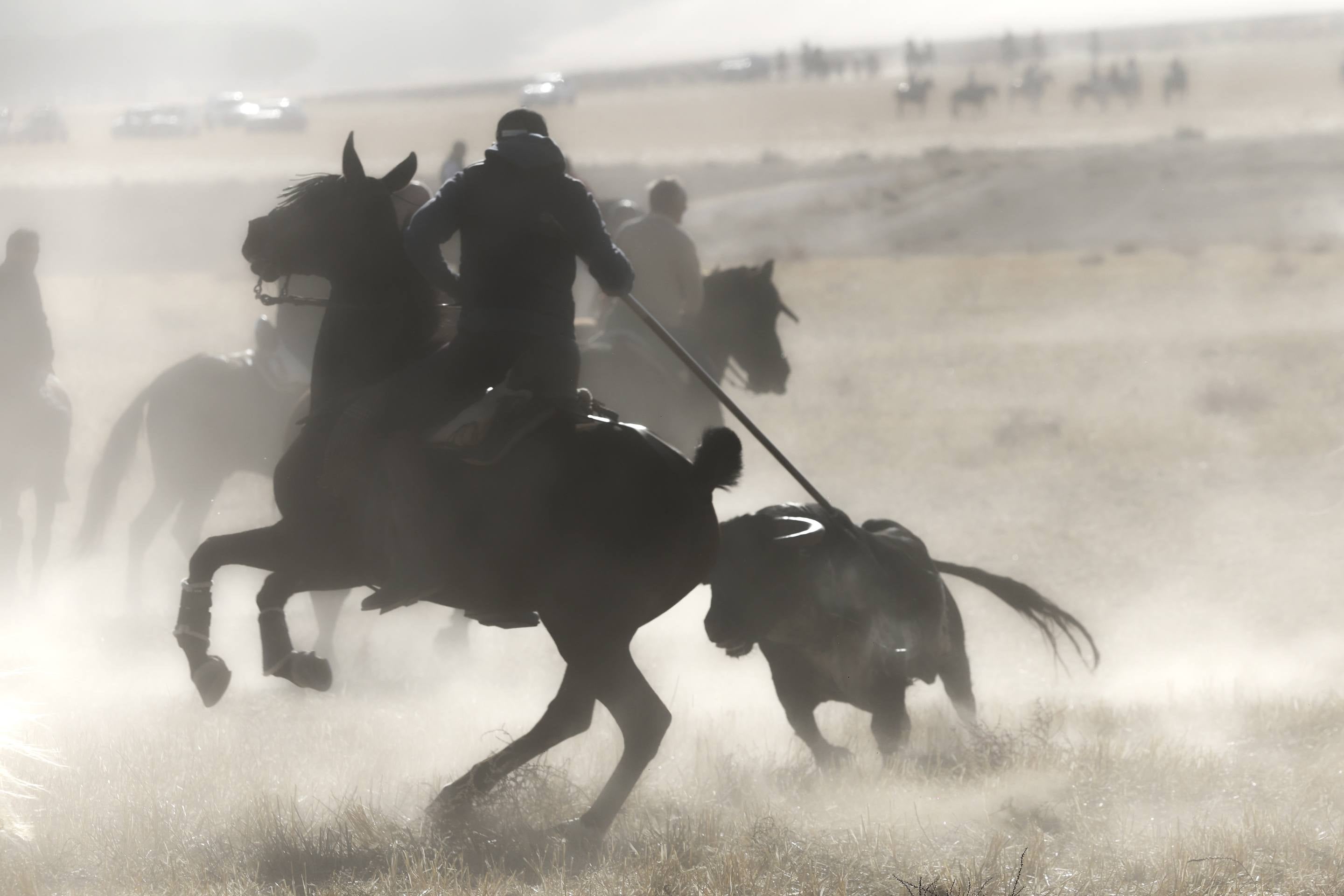 El último encierro mixto de las fiestas de Mojados 2025, en imágenes