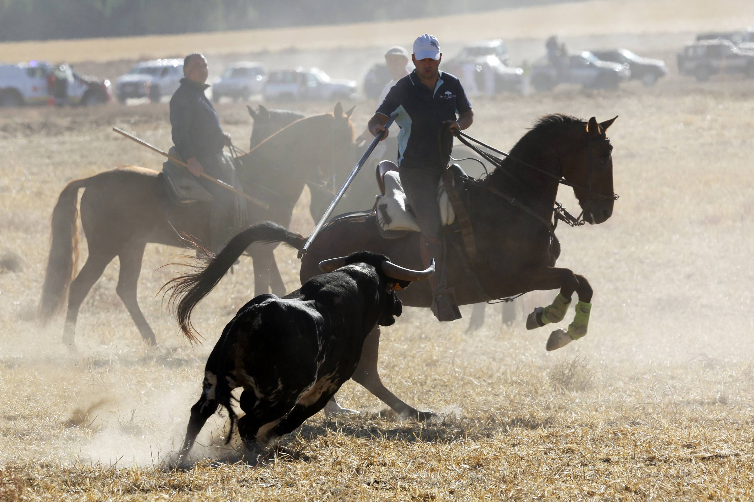 El último encierro mixto de las fiestas de Mojados 2025, en imágenes