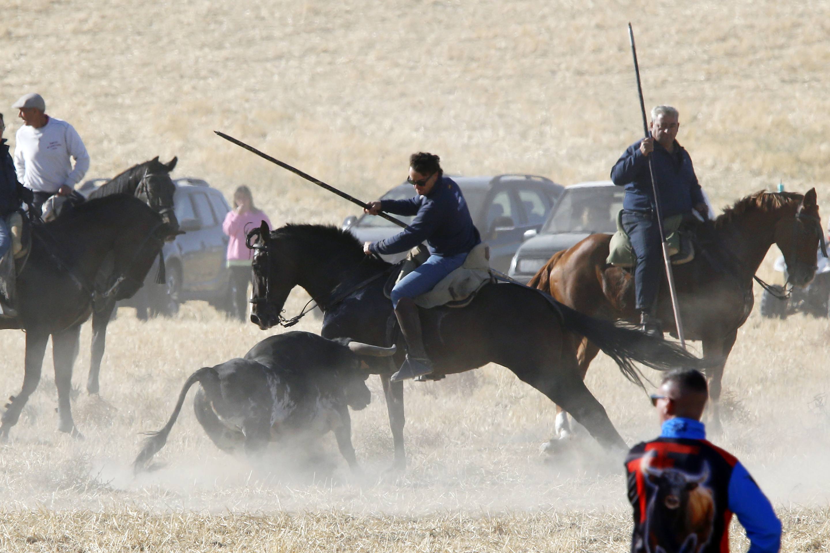 El último encierro mixto de las fiestas de Mojados 2025, en imágenes