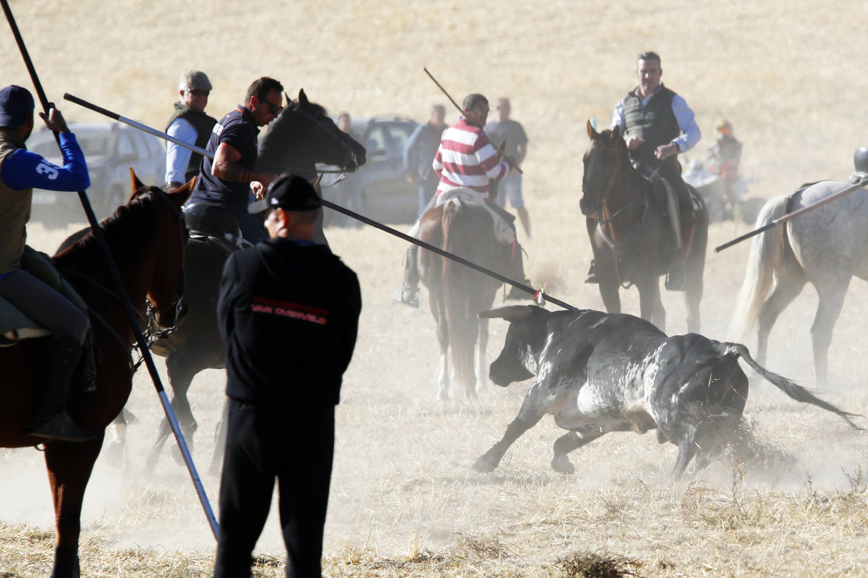 El último encierro mixto de las fiestas de Mojados 2025, en imágenes