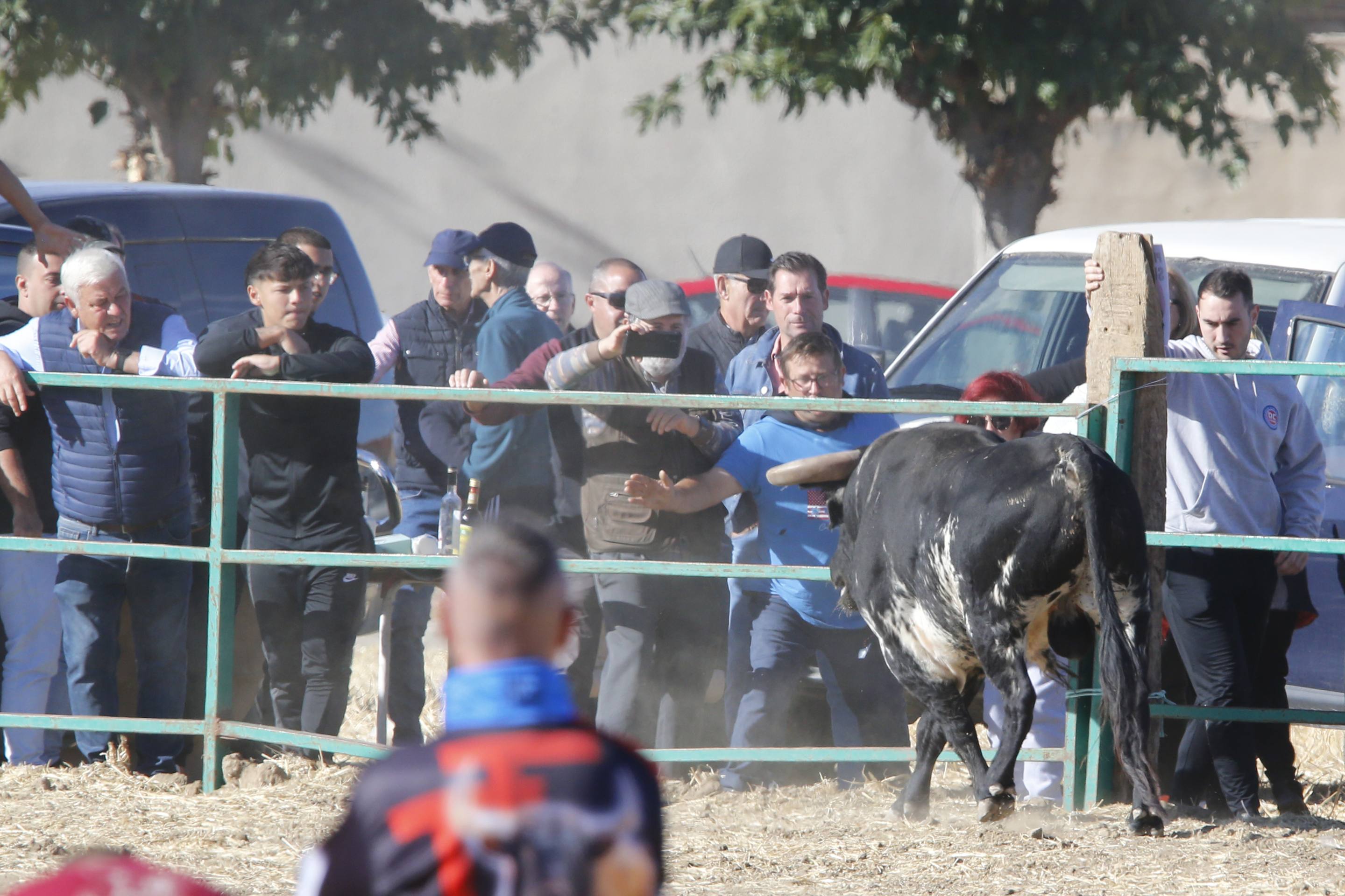 El último encierro mixto de las fiestas de Mojados 2025, en imágenes