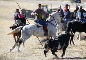 Mojados despide sus fiestas con un bonito y entretenido encierro con toros de Torrestrella
