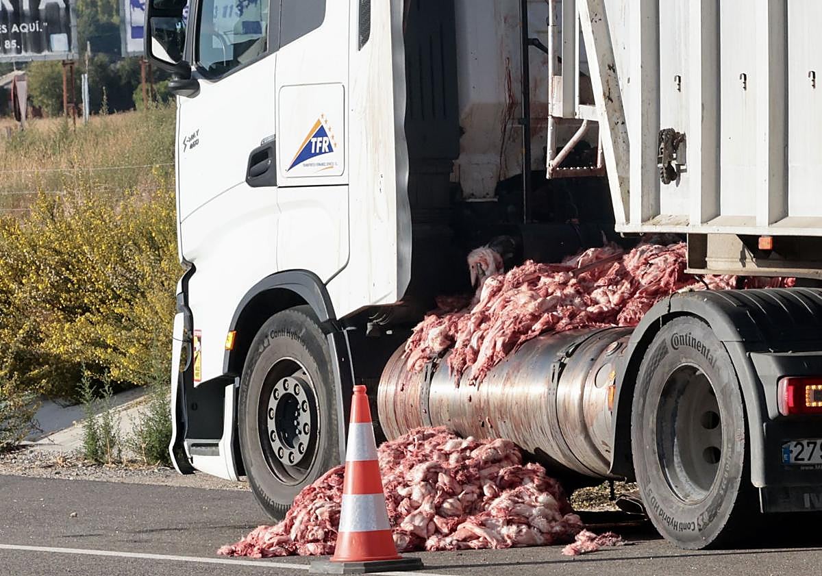 Imagen principal - El carril cortado por la presencia de tripas de conejo.