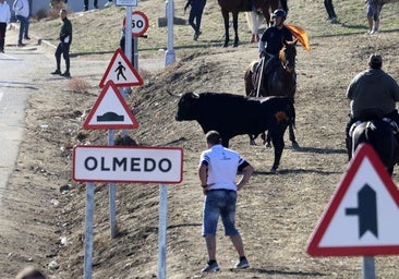 Festejos taurinos en Valladolid: cuándo y dónde serán los próximos encierros