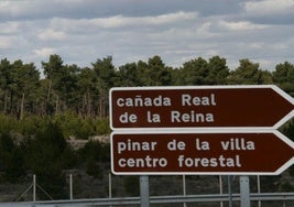 Montes y pinar Comunidad Villa y Tierra de Cuéllar.