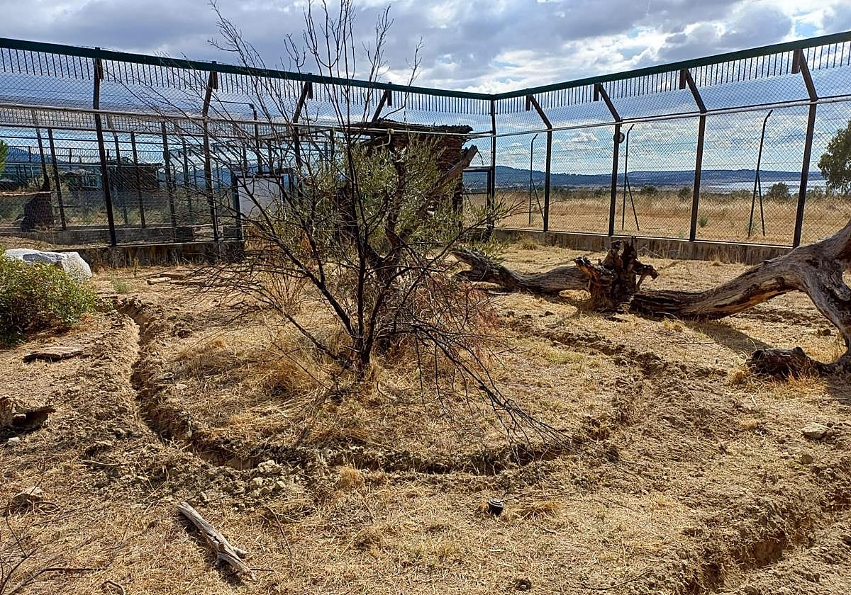 Fibra óptica en las zonas preparadas para los linces.