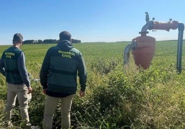 Detenidos padre e hijo en Medina del Campo por robos en explotaciones agrícolas