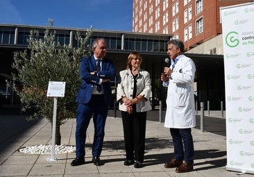 Un olivo centenario homenajea a los enfermos de cáncer en Palencia