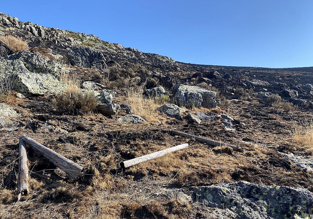 Daños causados por el incendio forestal de Resoba.