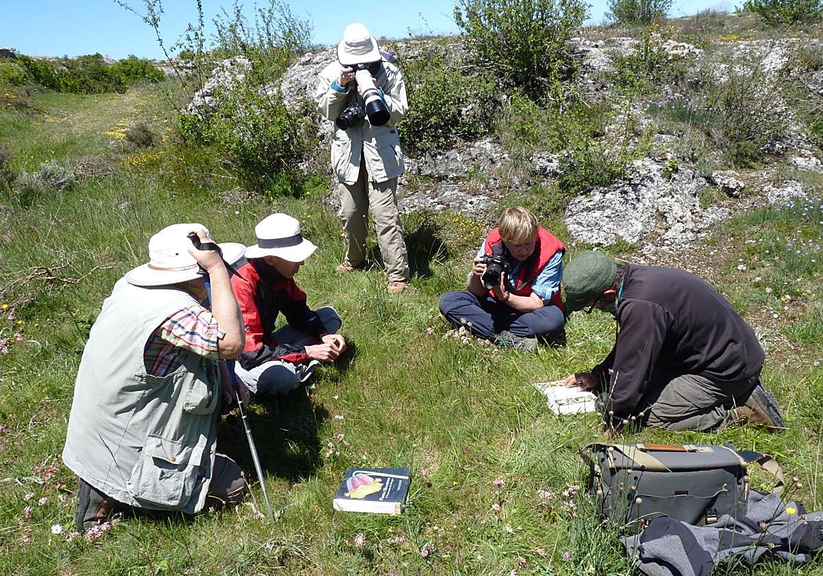 Un grupo de botánicos, en Las Tuerces.