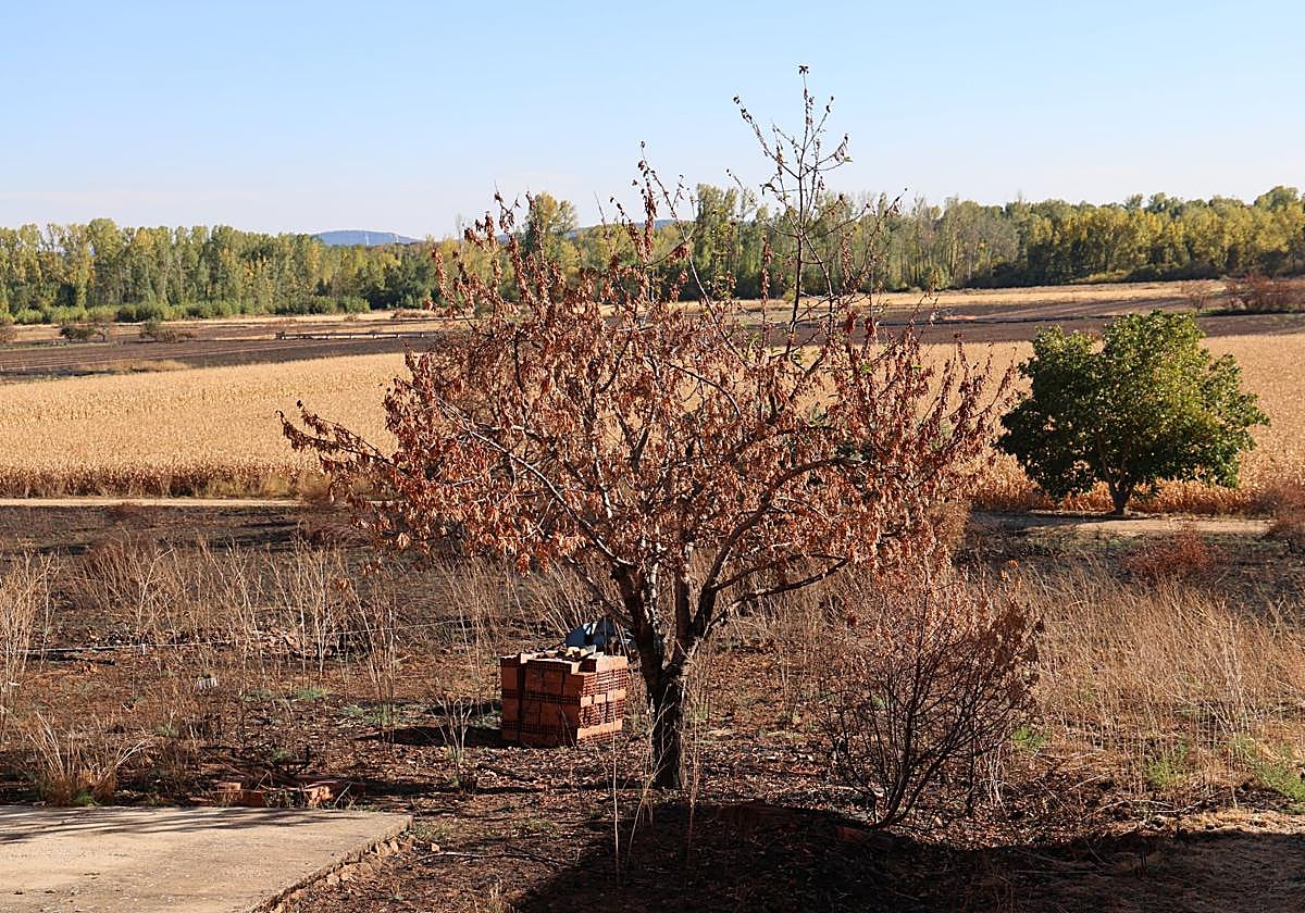 Las imágenes de la situación actual en Castrocalbón y Quintana y Congosto tras los incendios