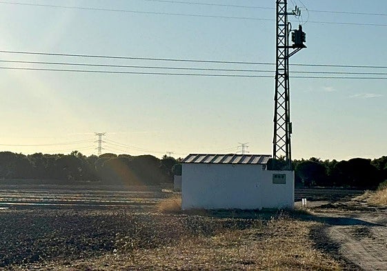 Vista general del entorno de la parcela donde se realizó el tratamiento fitosanitario.