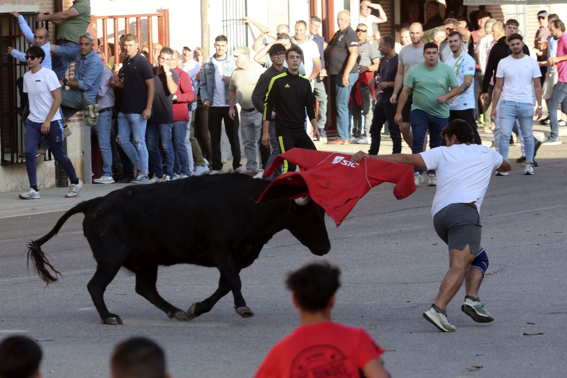 Las imágenes del toro de la vendimia en Rueda