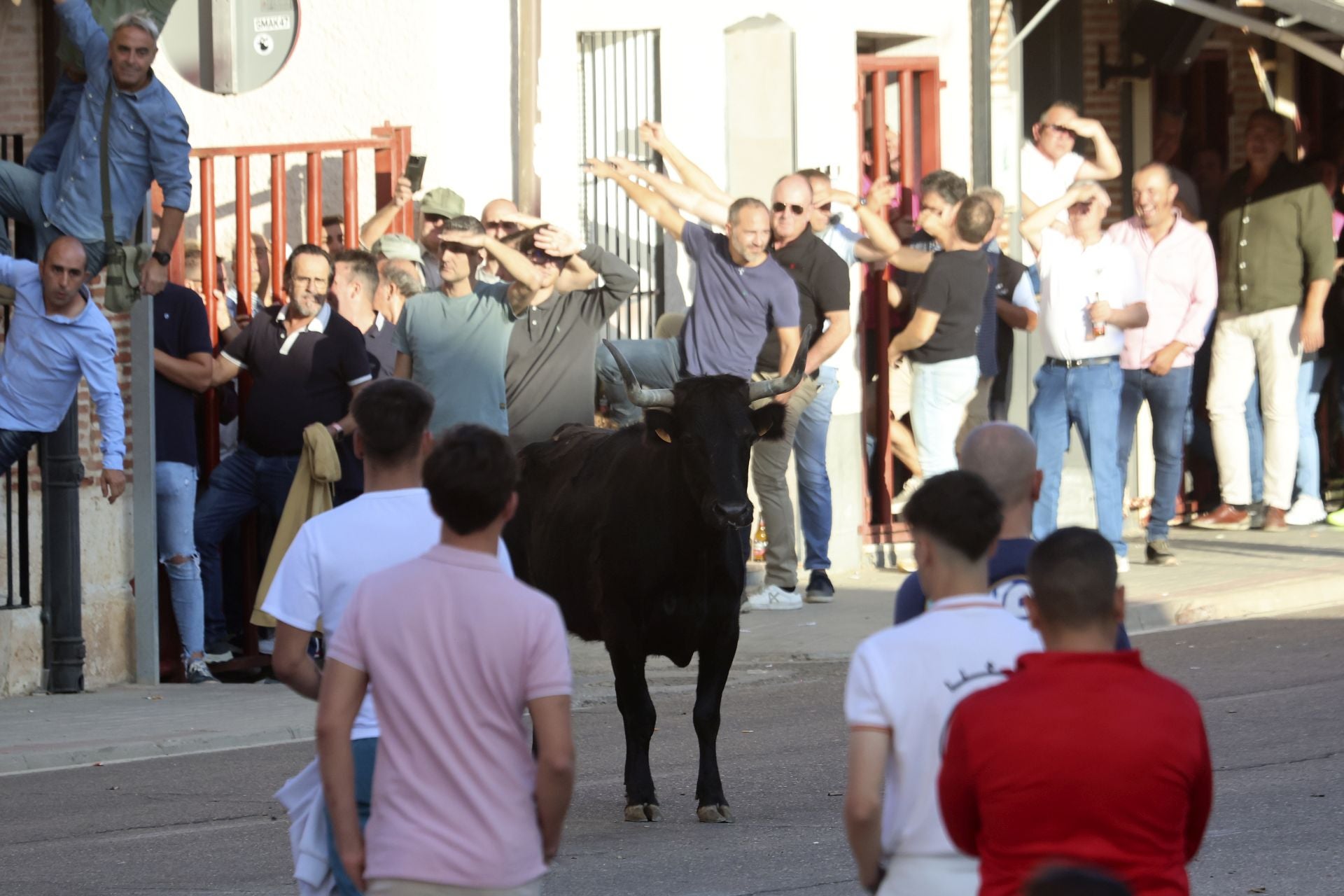 Las imágenes del toro de la vendimia en Rueda