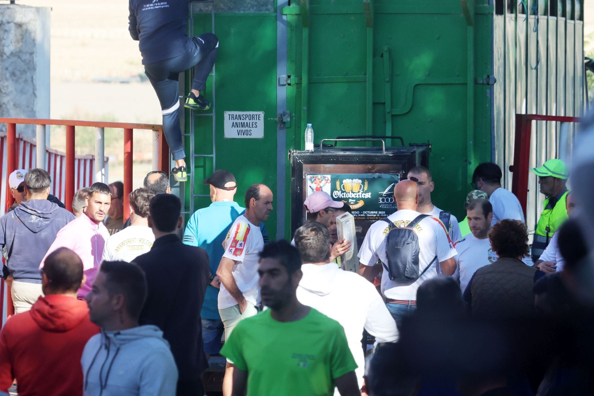 Las imágenes de la suelta del toro de cajón en Olmedo