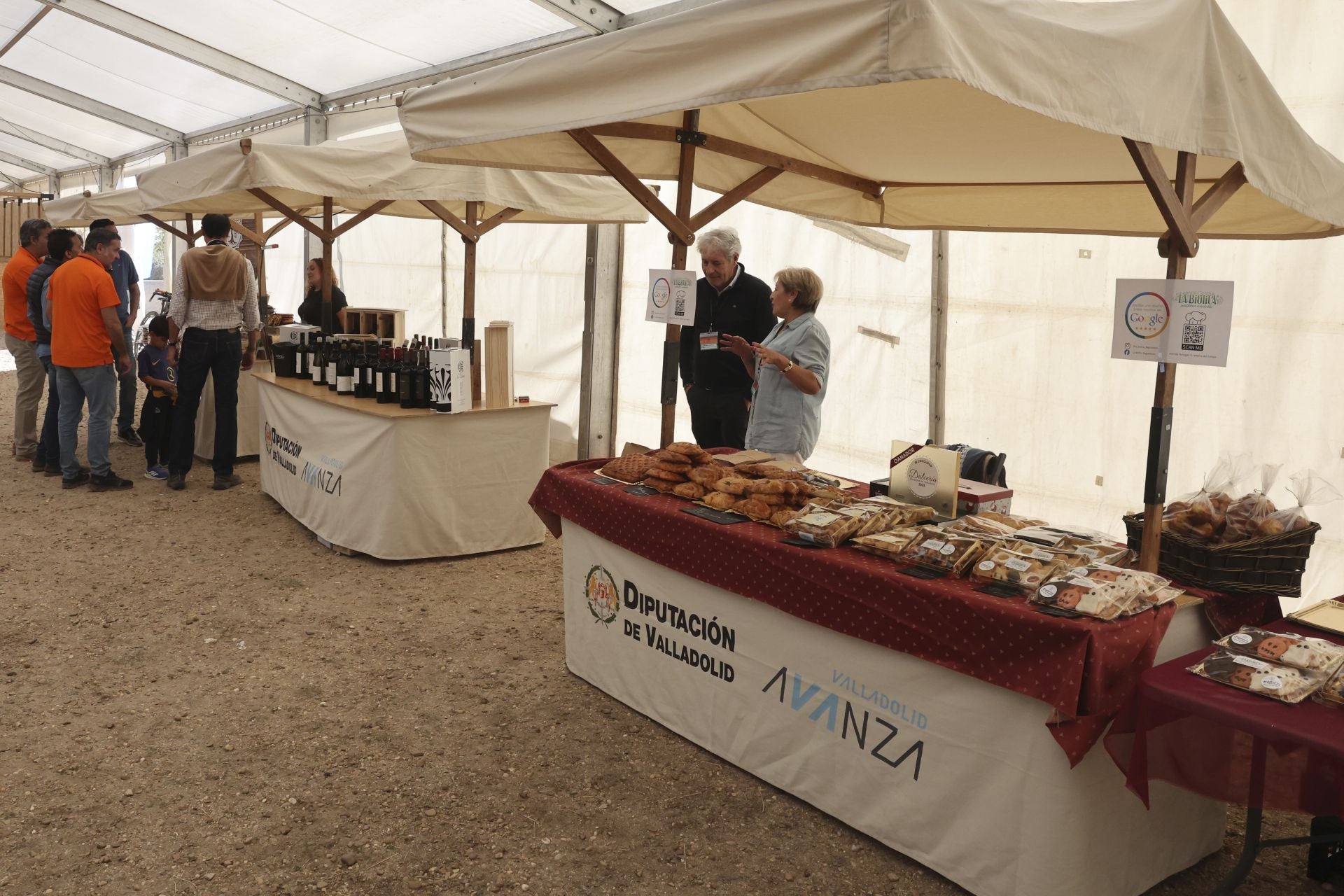 Las imágenes del I Encuentro Internacional de Cetrería en Nava del Rey