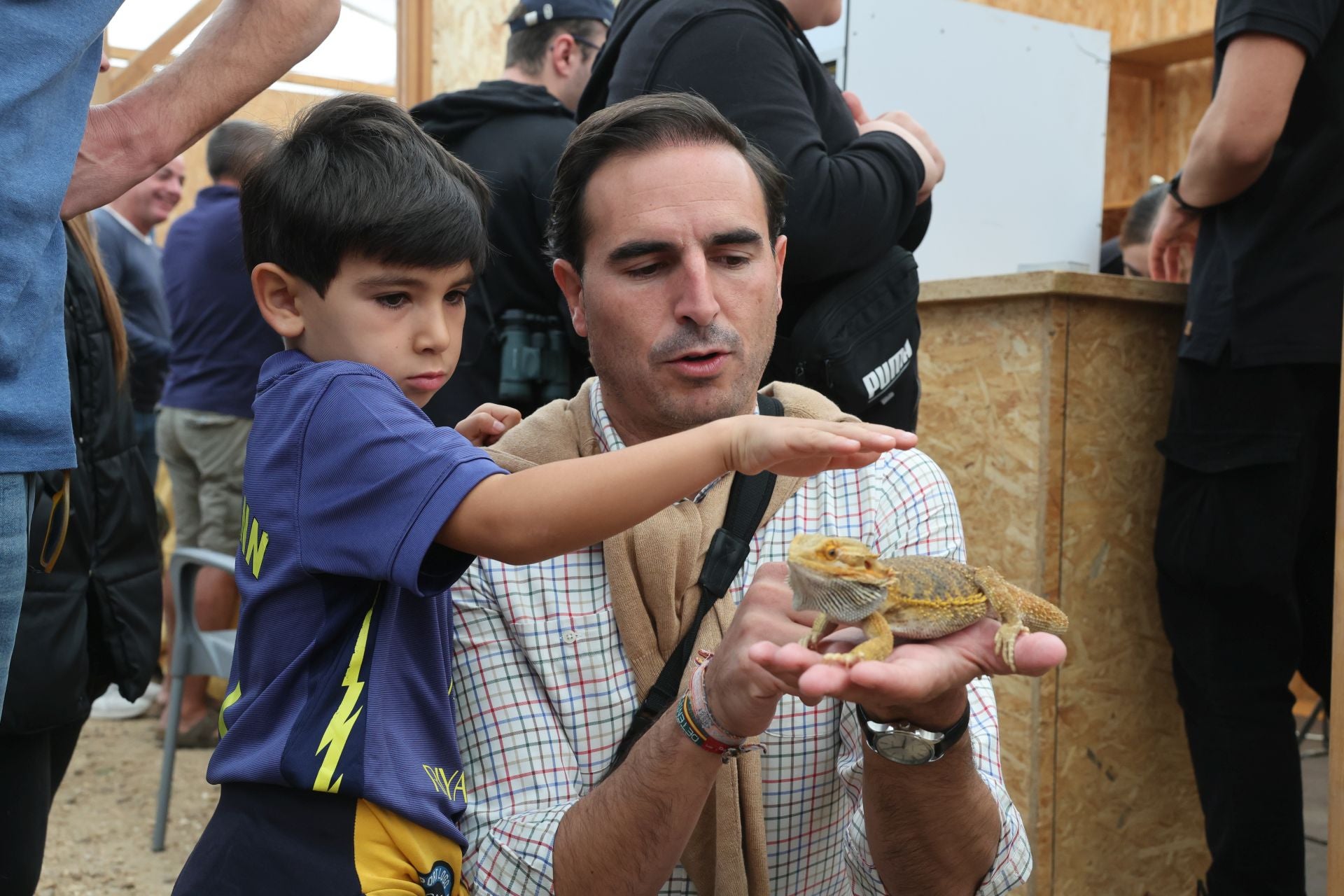 Las imágenes del I Encuentro Internacional de Cetrería en Nava del Rey