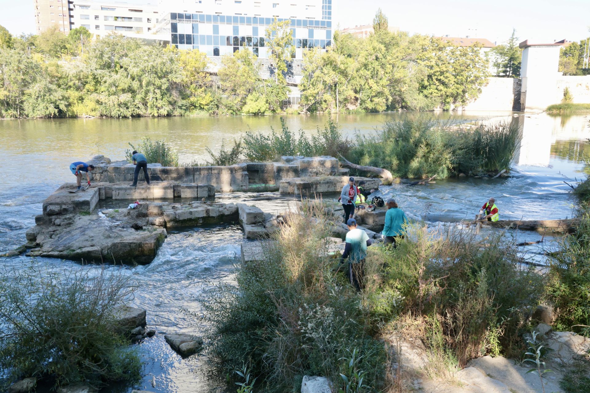 La limpieza de las antiguas aceñas del Puente Mayor, en imágenes