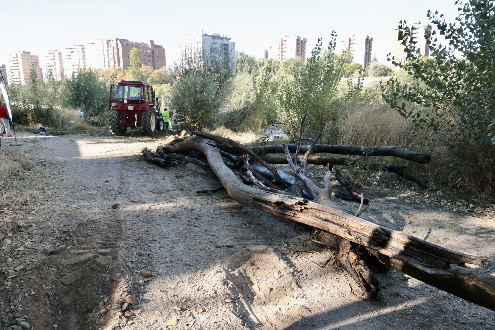 La limpieza de las antiguas aceñas del Puente Mayor, en imágenes