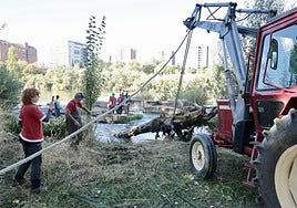 La limpieza de las antiguas aceñas del Puente Mayor, en imágenes