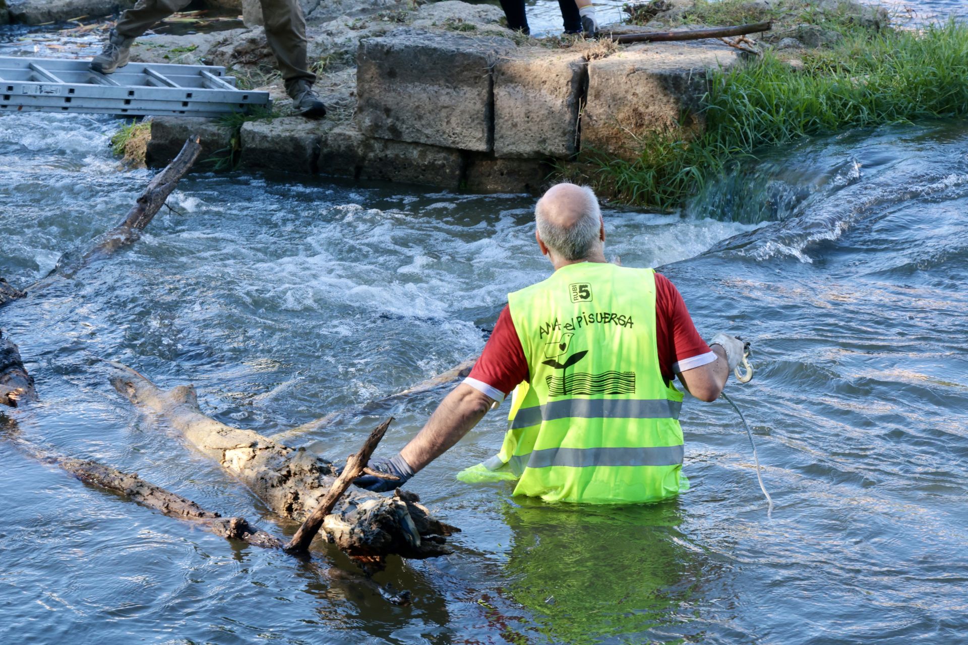 La limpieza de las antiguas aceñas del Puente Mayor, en imágenes