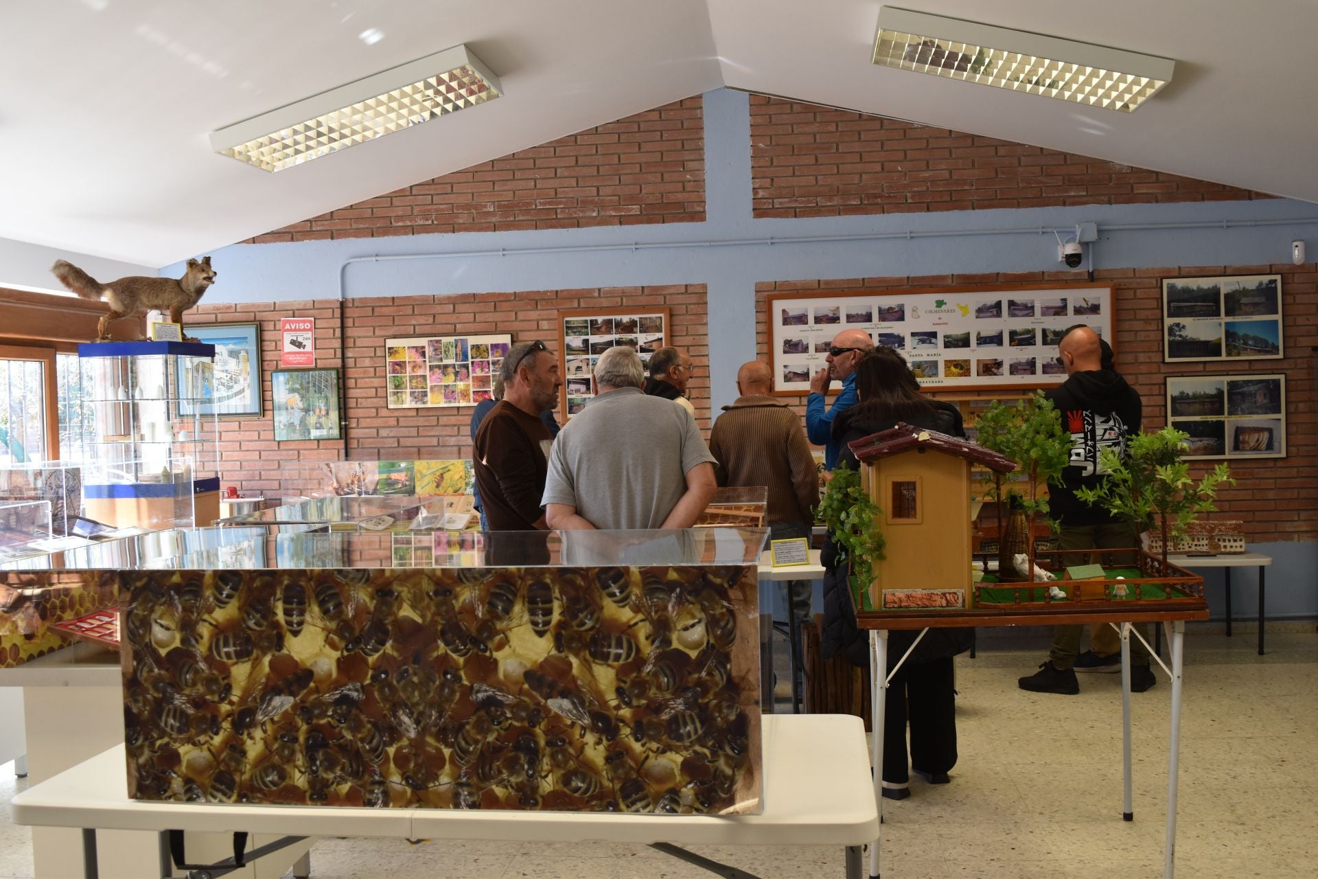 Animada Feria de la Miel de Castrejón de la Peña